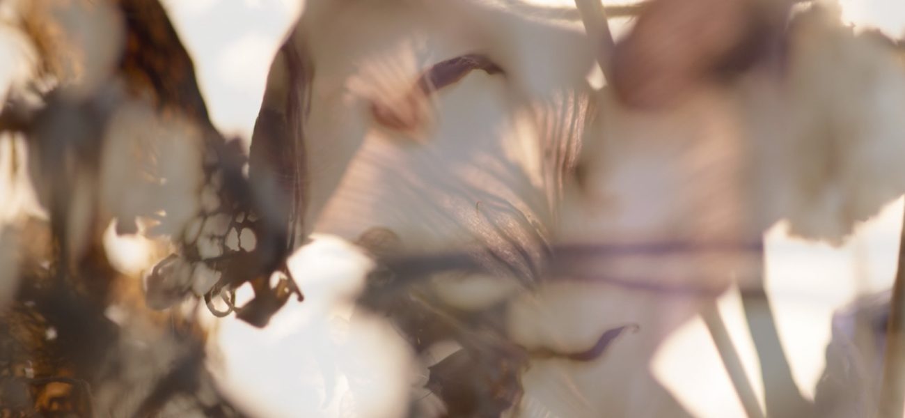 Screenshot 2025-06-27 at 23.21.32